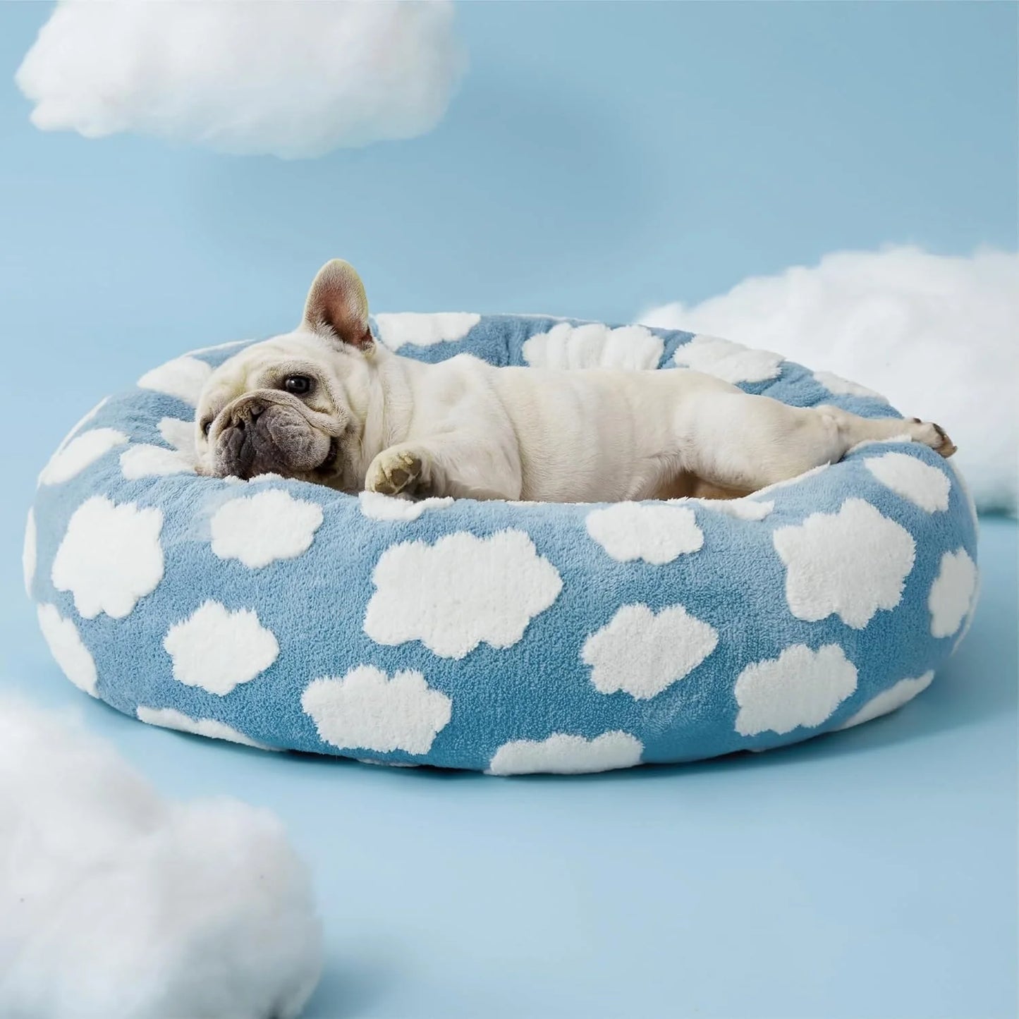 PawCloud™