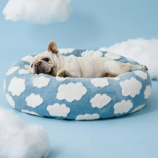 PawCloud™
