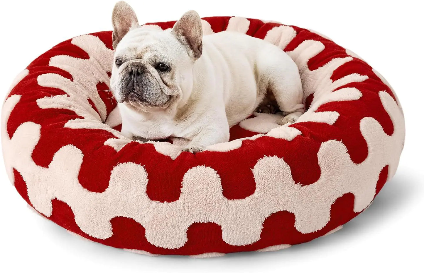 PawCloud™