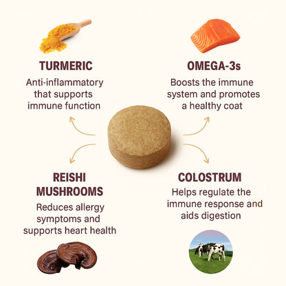 Soft chew close-up with ingredient callouts: Turmeric, Omega-3s, Reishi Mushrooms, Colostrum