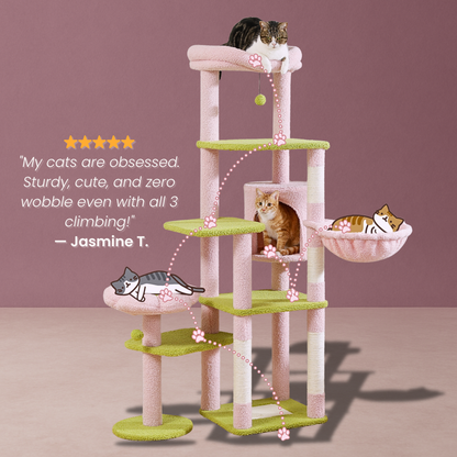 CatCastle™