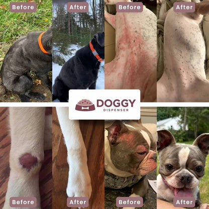 Results collage with before-and-after dog skin improvements and reduced itching.