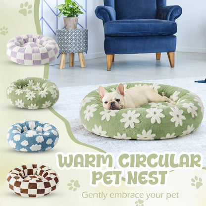 PawCloud™