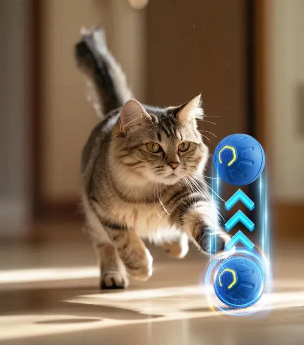 BounceBall™ – Smart Pet Toy for Dogs & Cats